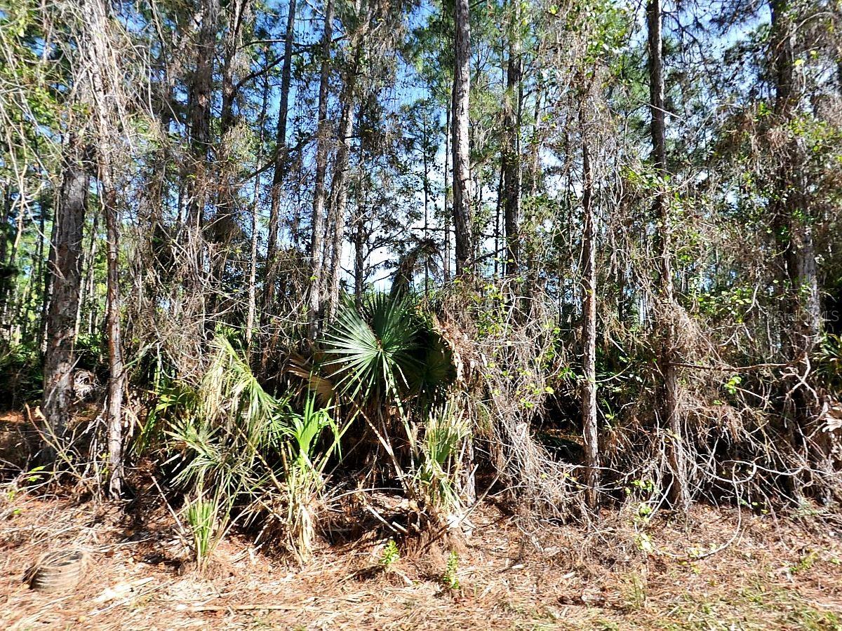 Nagengast St, North Port, FL 34288