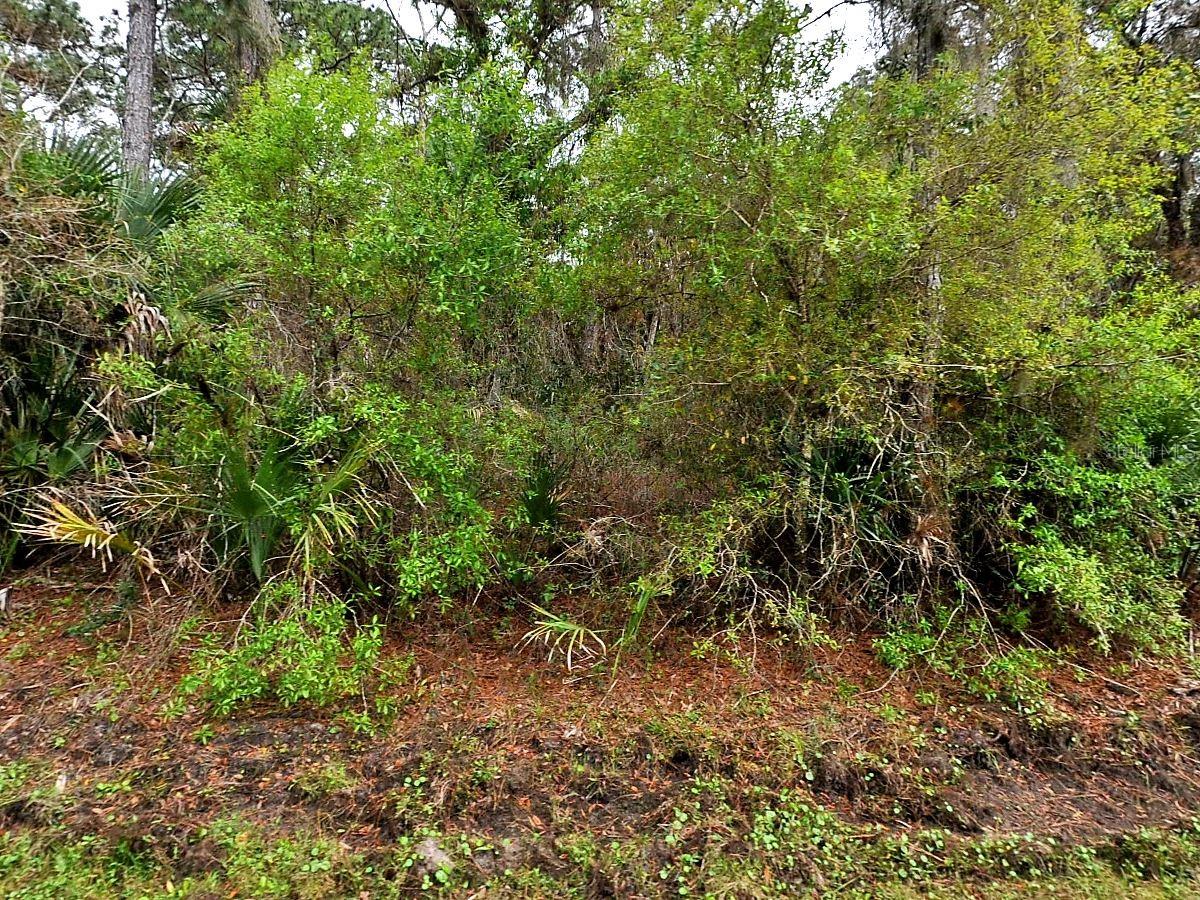 Hurdle Rd., North Port, FL 34291