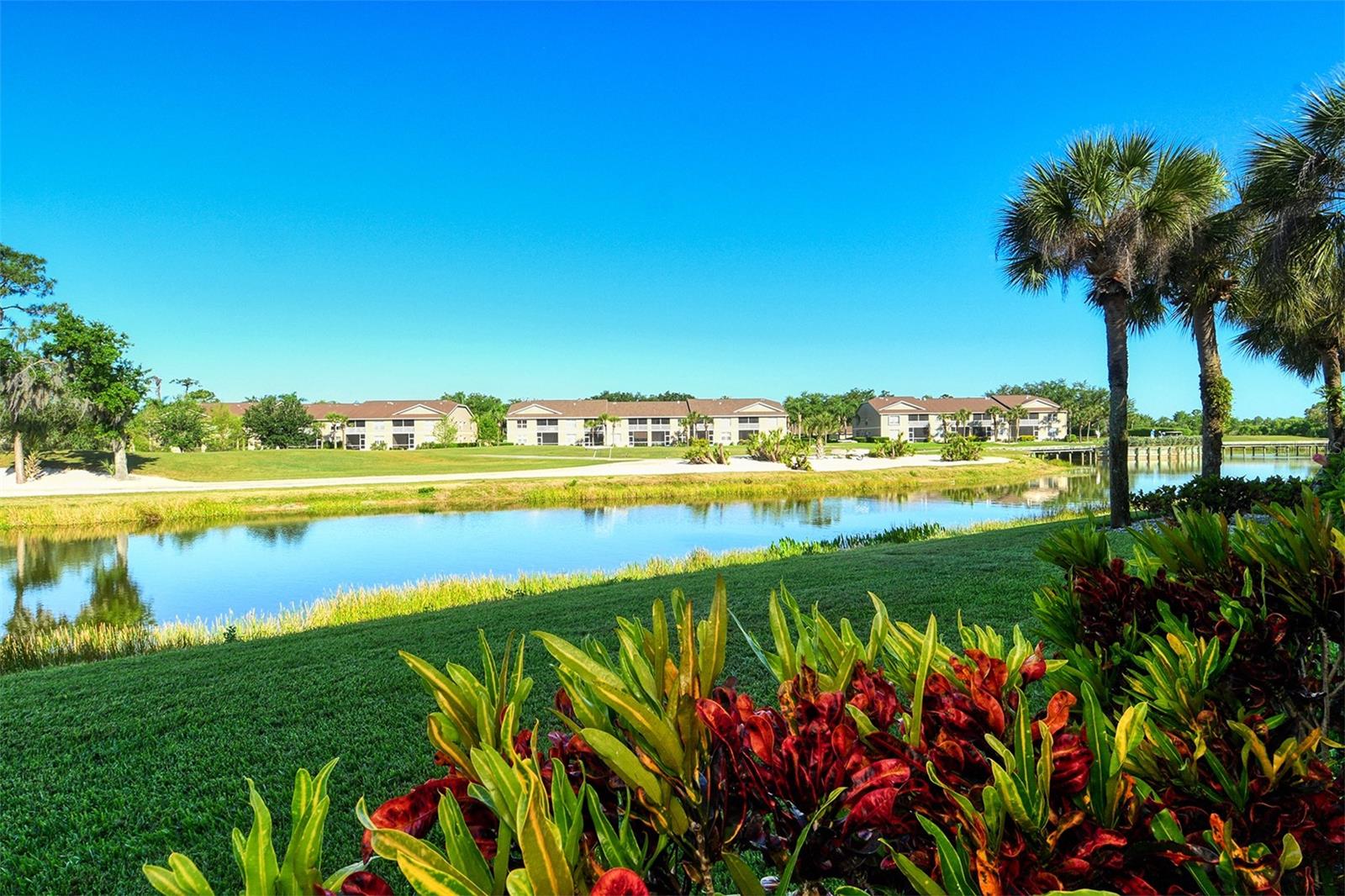 5230 Hyland Hills Ave ## 1311, Sarasota, FL 34241