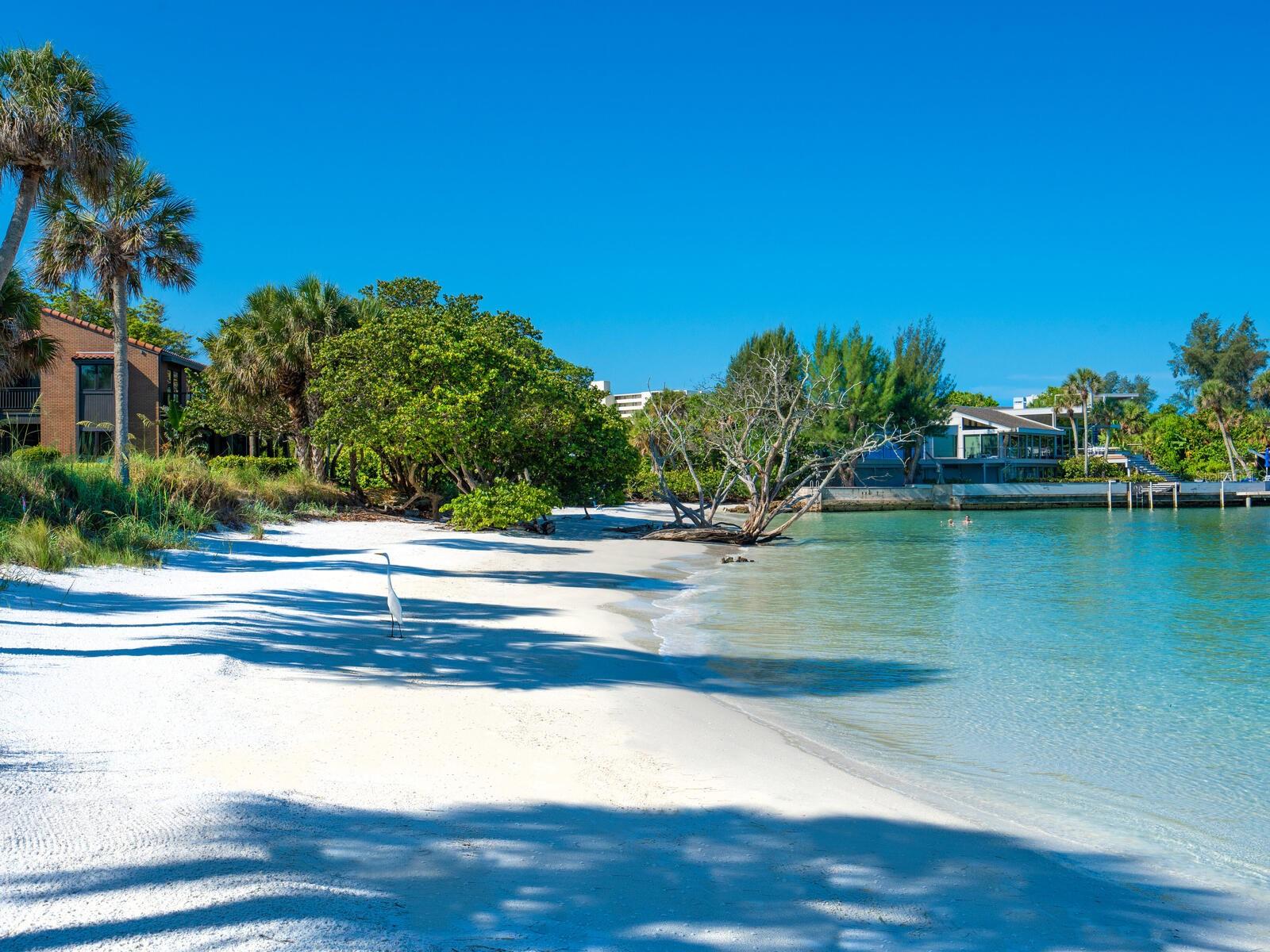 22 Sandy Cove Rd #Apt 203, Sarasota, FL 34242