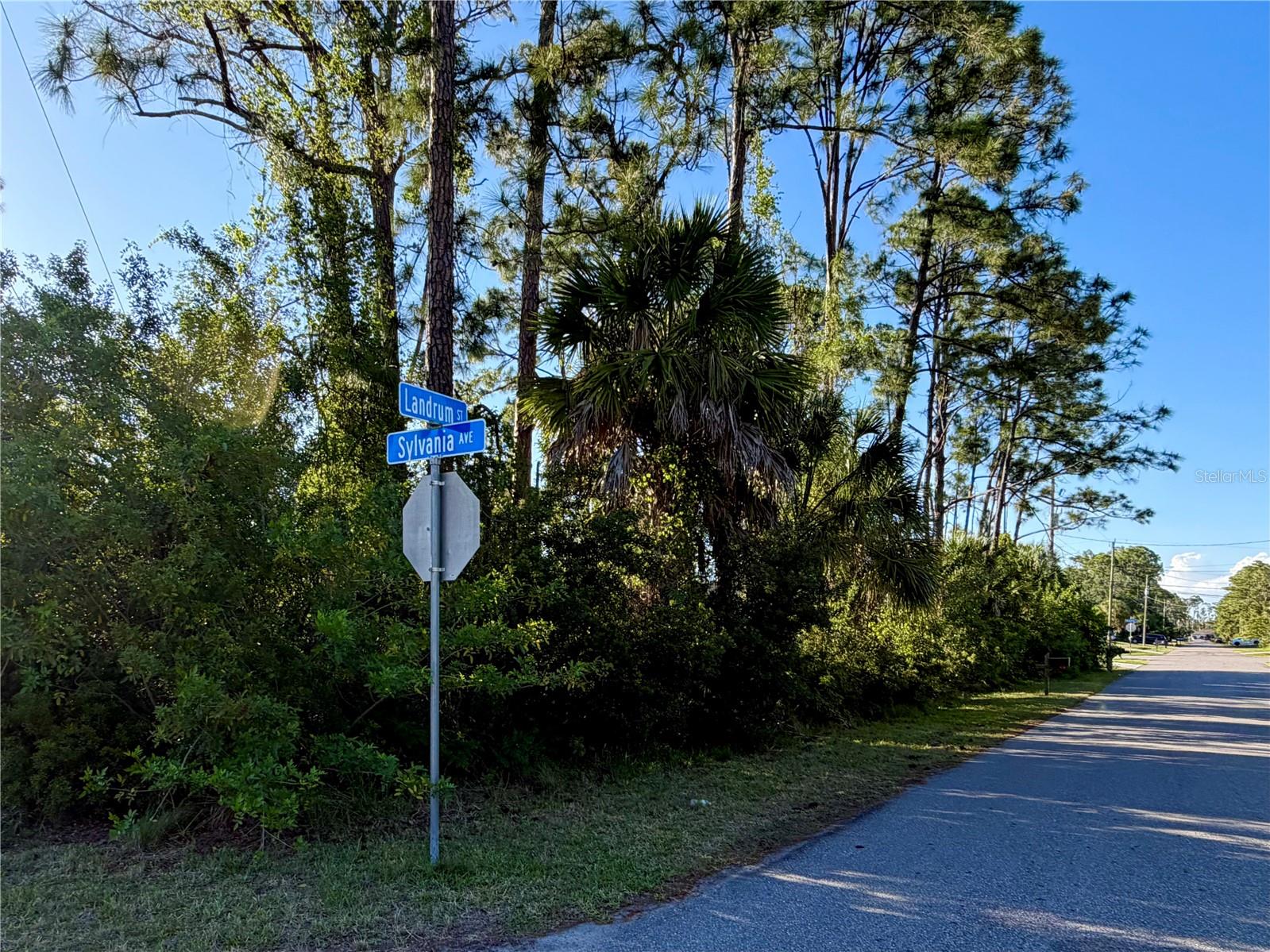 Sylvania Ave, North Port, FL 34291