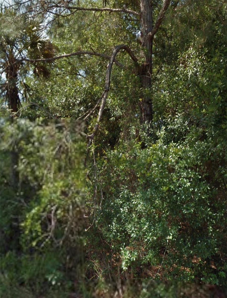 Ohio Rd, North Port, FL 34291
