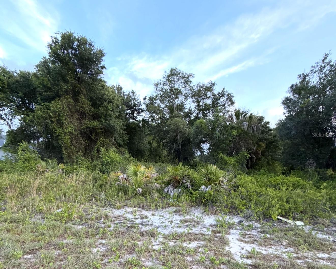 Mangrove Ave, North Port, FL 34288