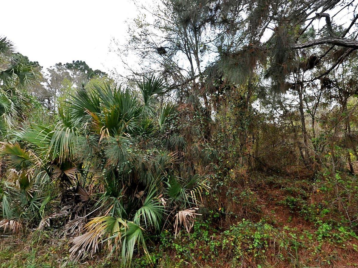 Henning St, North Port, FL 34288
