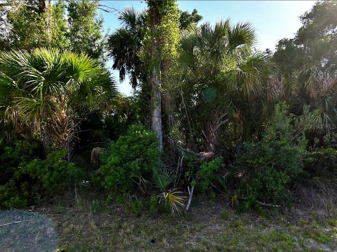 Wells Ave, North Port, FL 34286