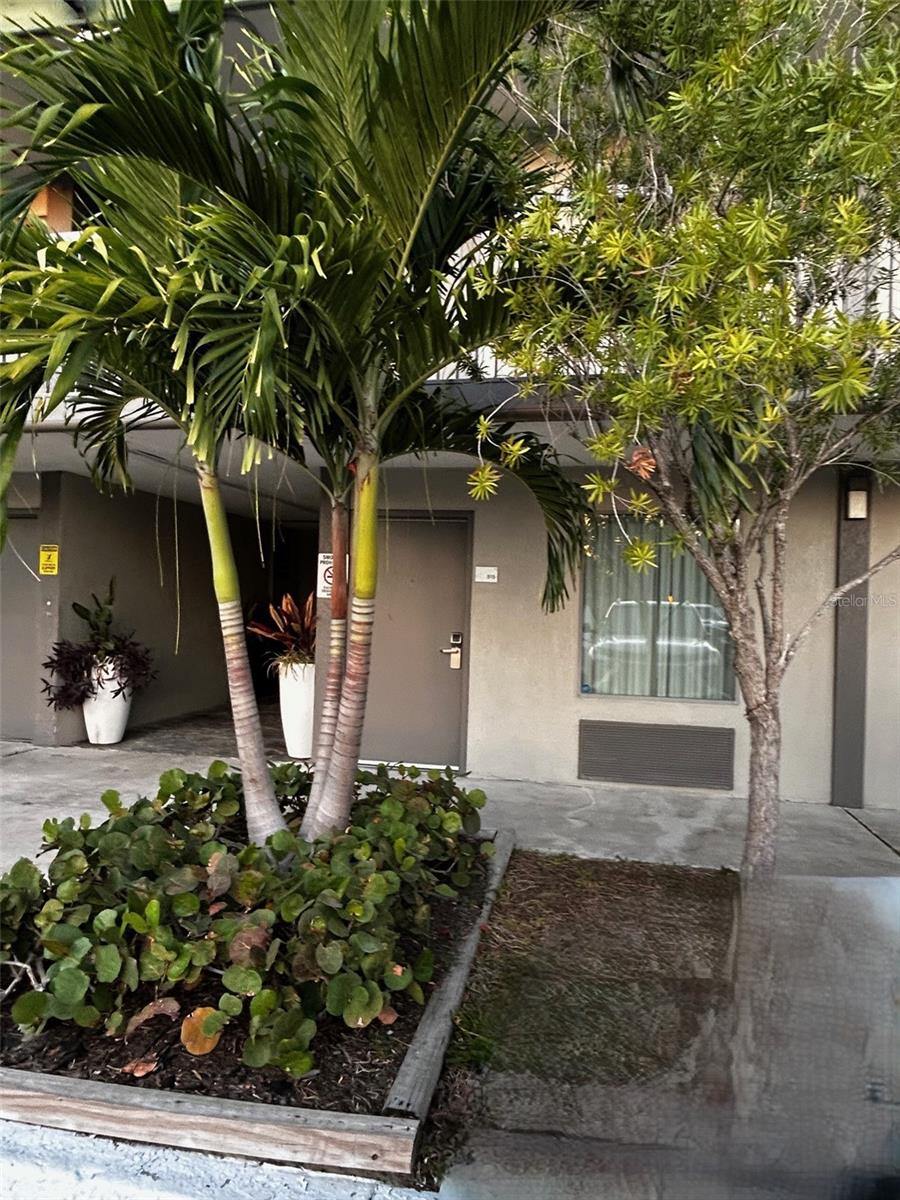 7150 N Tamiami Trl #S515, Sarasota, FL 34243