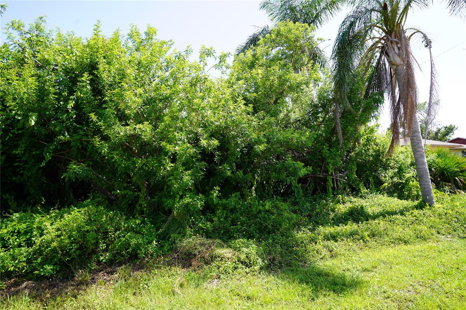 507 Meridan Ave Nw, Port Charlotte, FL 33952