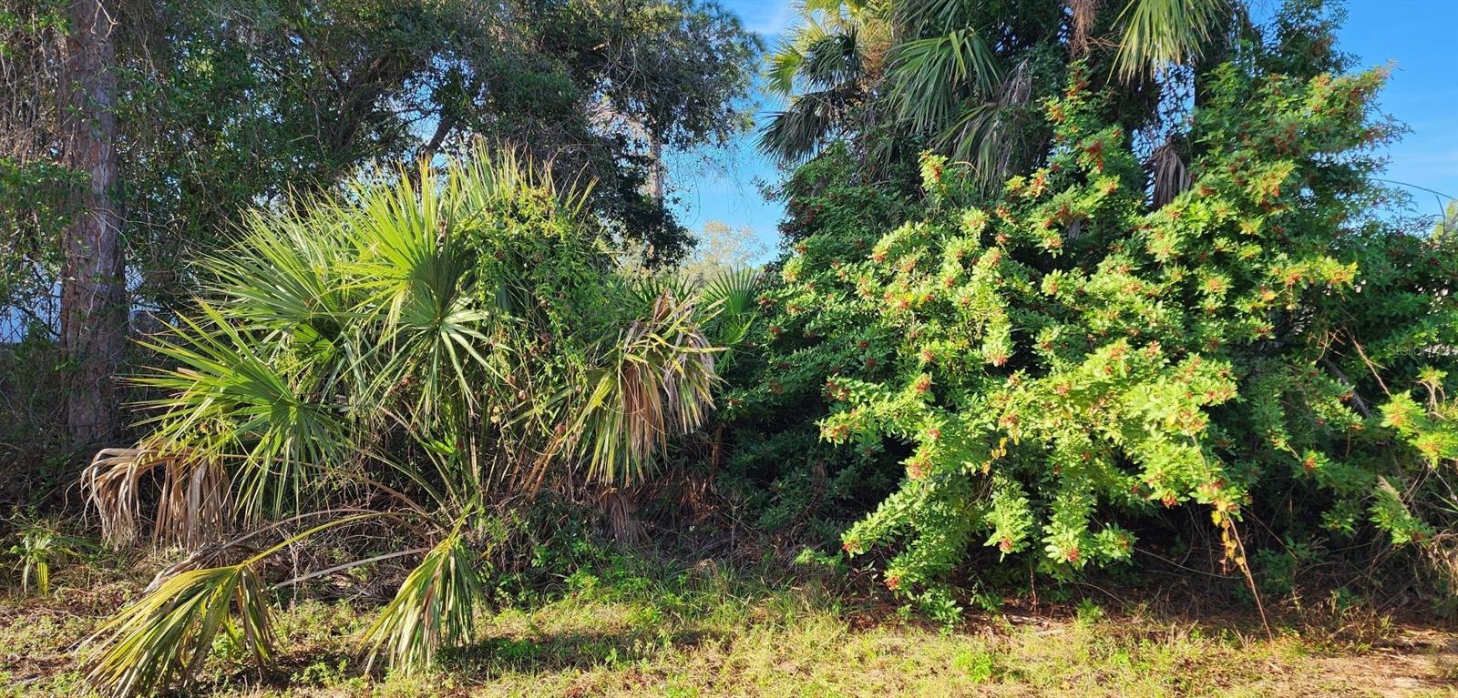 Hurley Ave, North Port, FL 34288