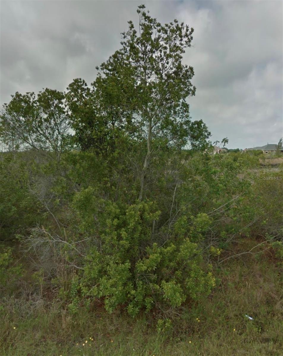 15842 Viscount Cir, Port Charlotte, FL 33981