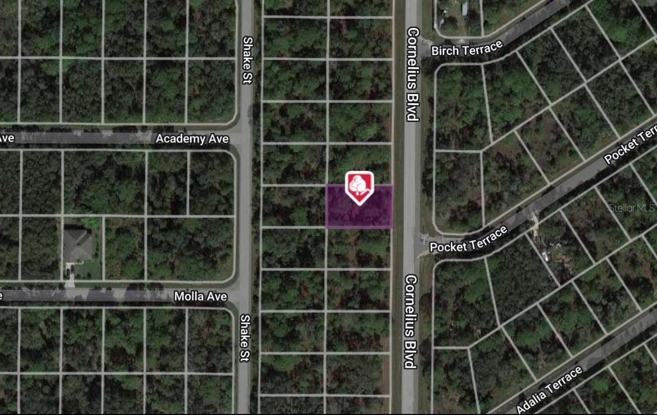 1323 Cornelius Blvd, Port Charlotte, FL 33953