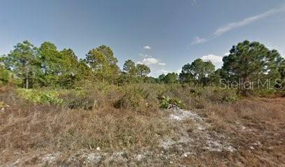 241 Nancy Ave S, Lehigh Acres, FL 33974