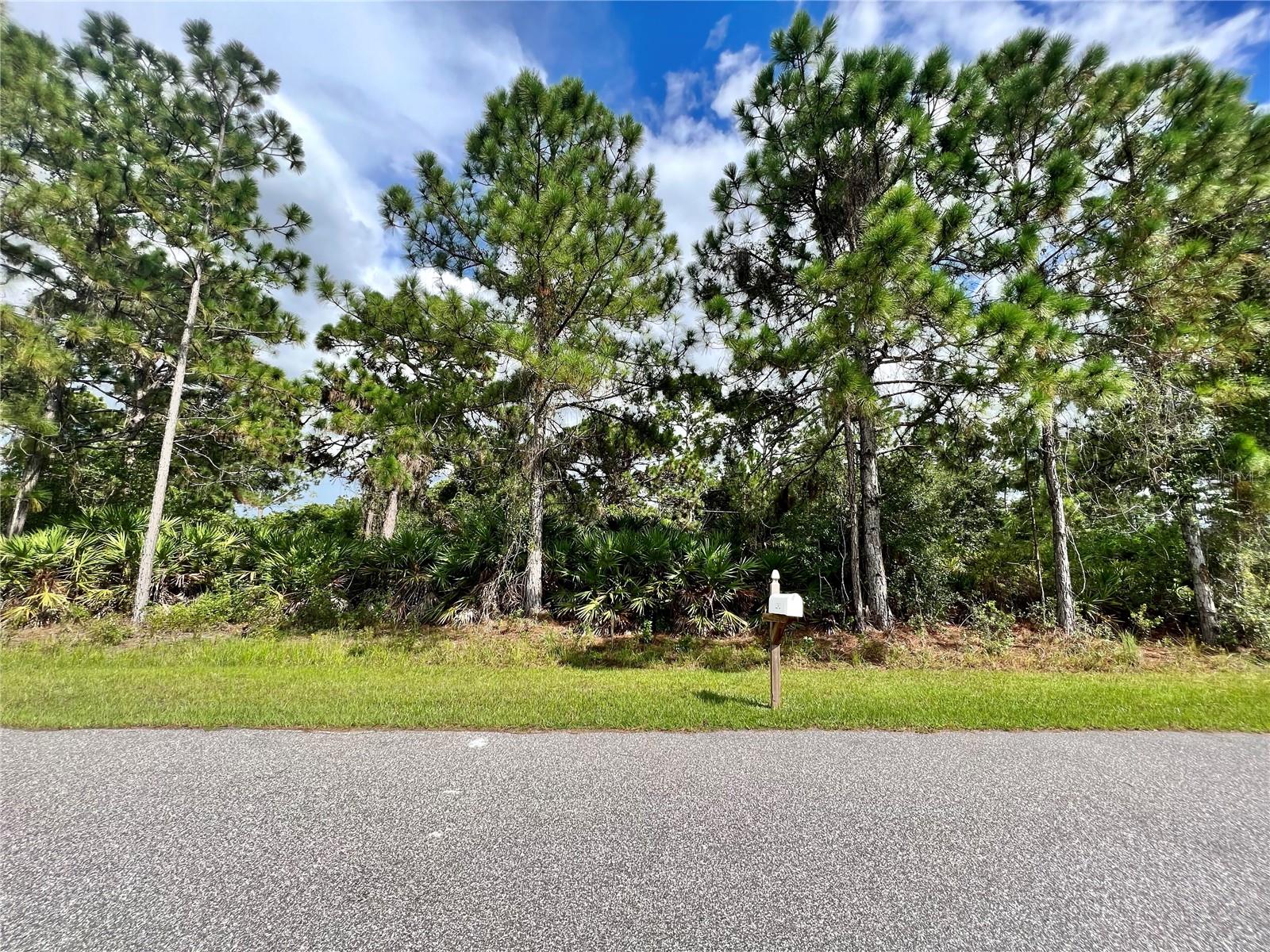 12393 Prudential Ave, Port Charlotte, FL 33981