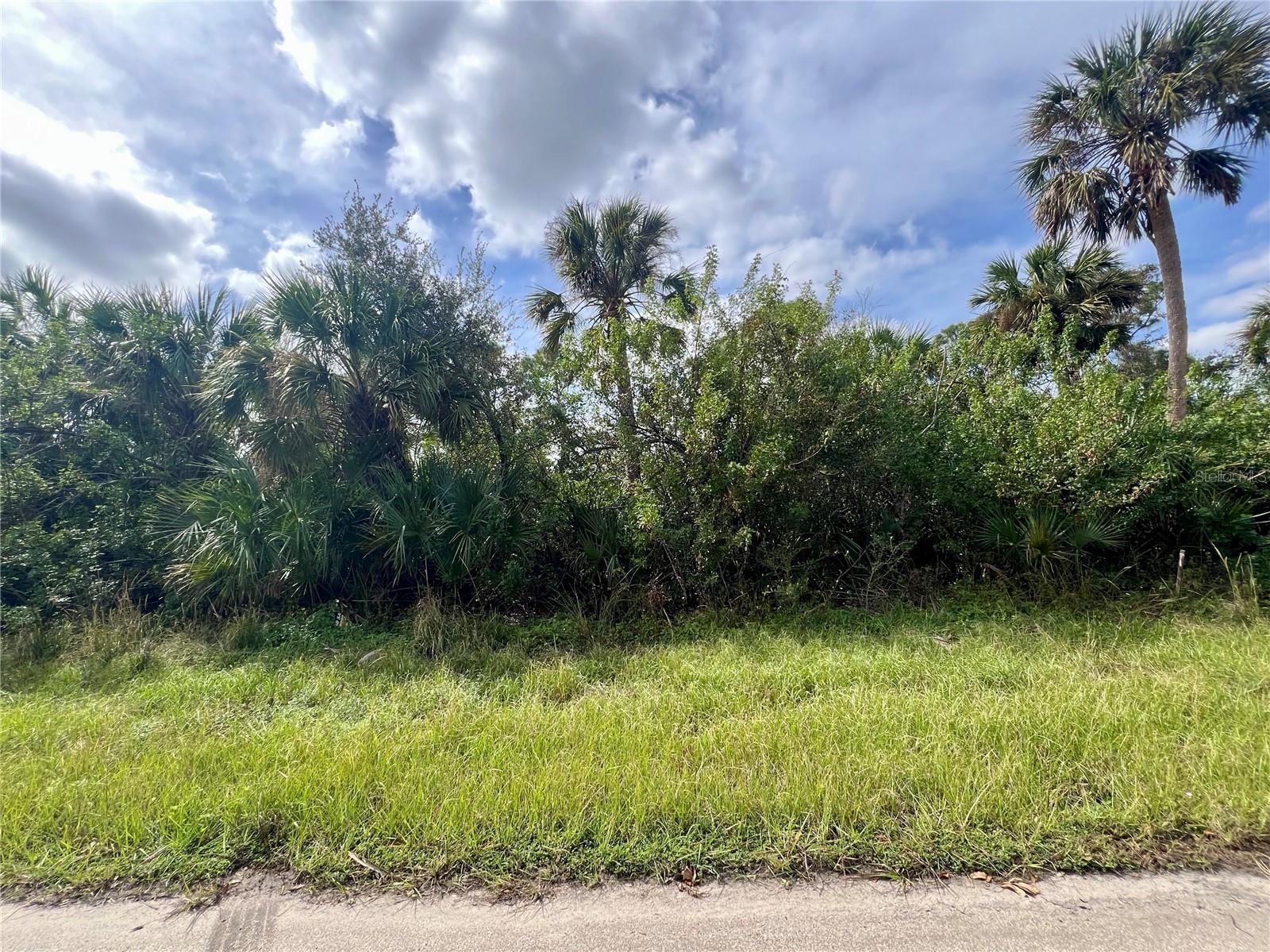 355 Ramblewood St, Port Charlotte, FL 33953