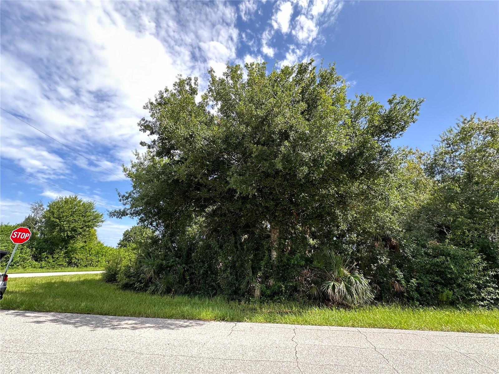 12088 Henley Ave, Port Charlotte, FL 33981