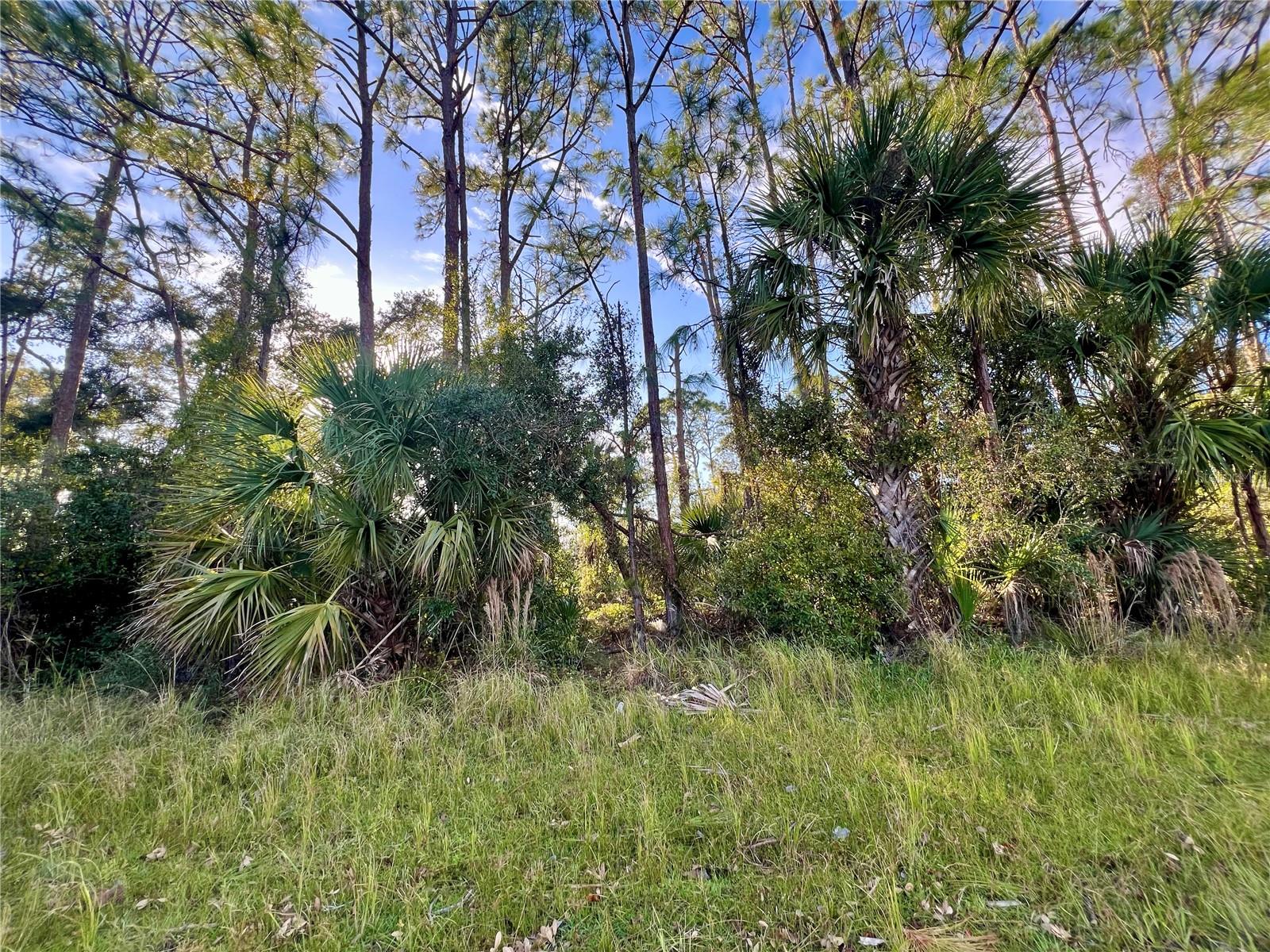 Lummus St, North Port, FL 34286