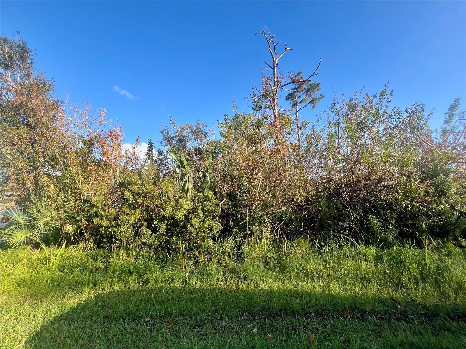 5186 Venus Ter, Port Charlotte, FL 33981