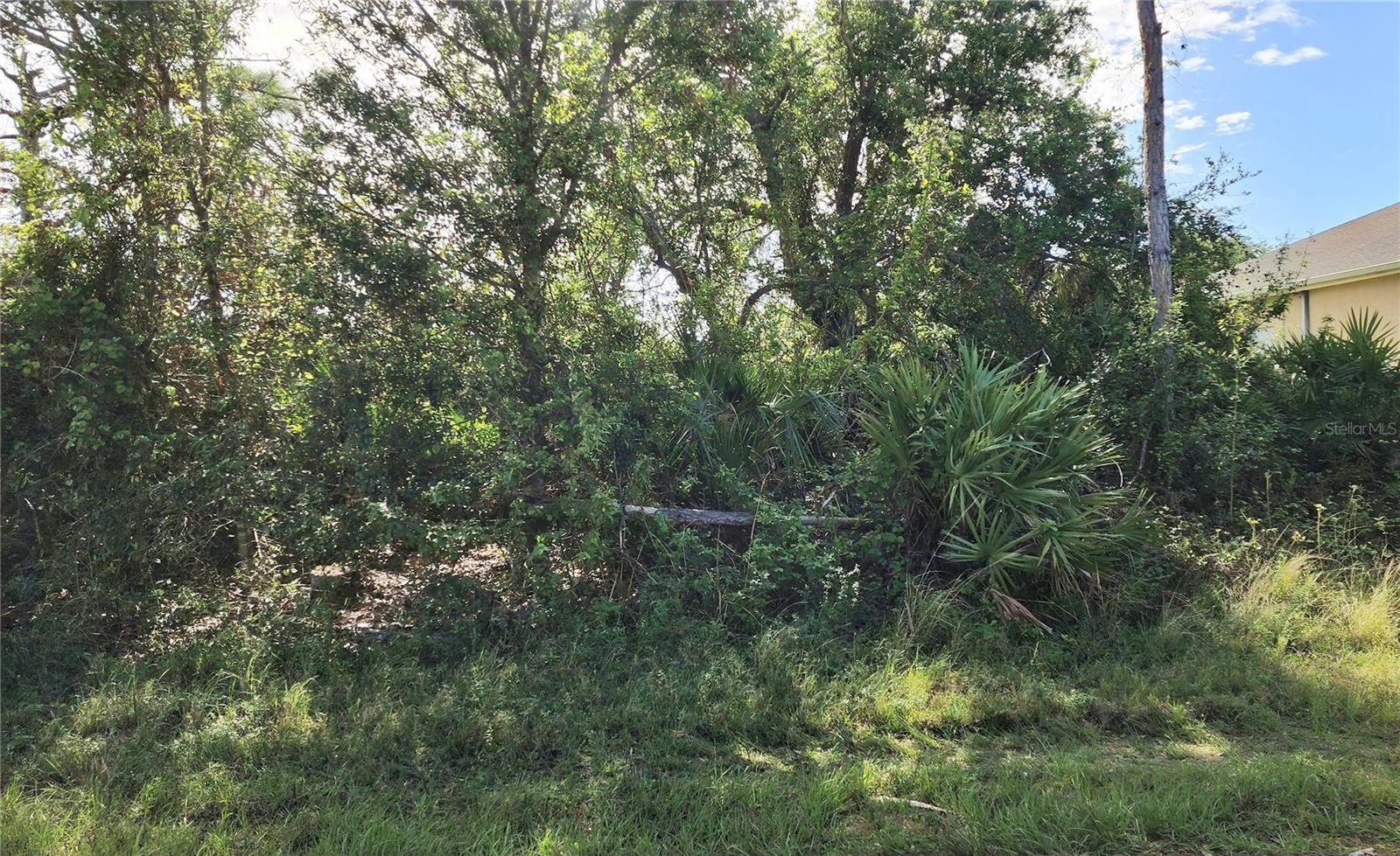 11913 Florence Ave, Port Charlotte, FL 33981