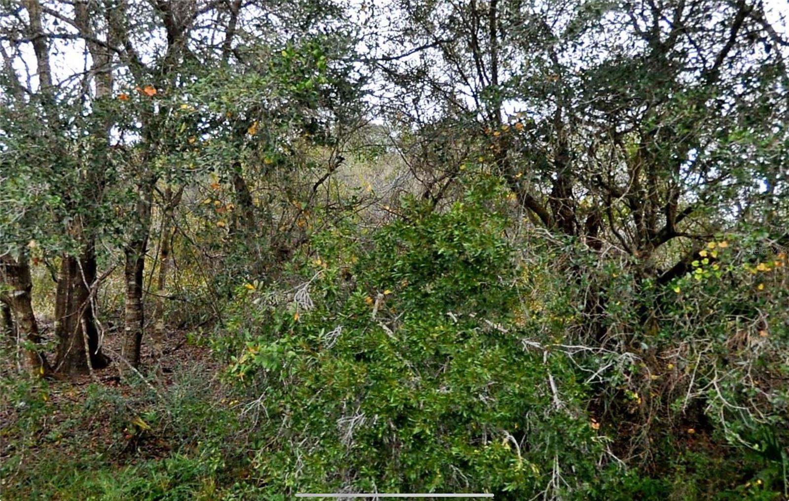 Constitution Dr, North Port, FL 34291
