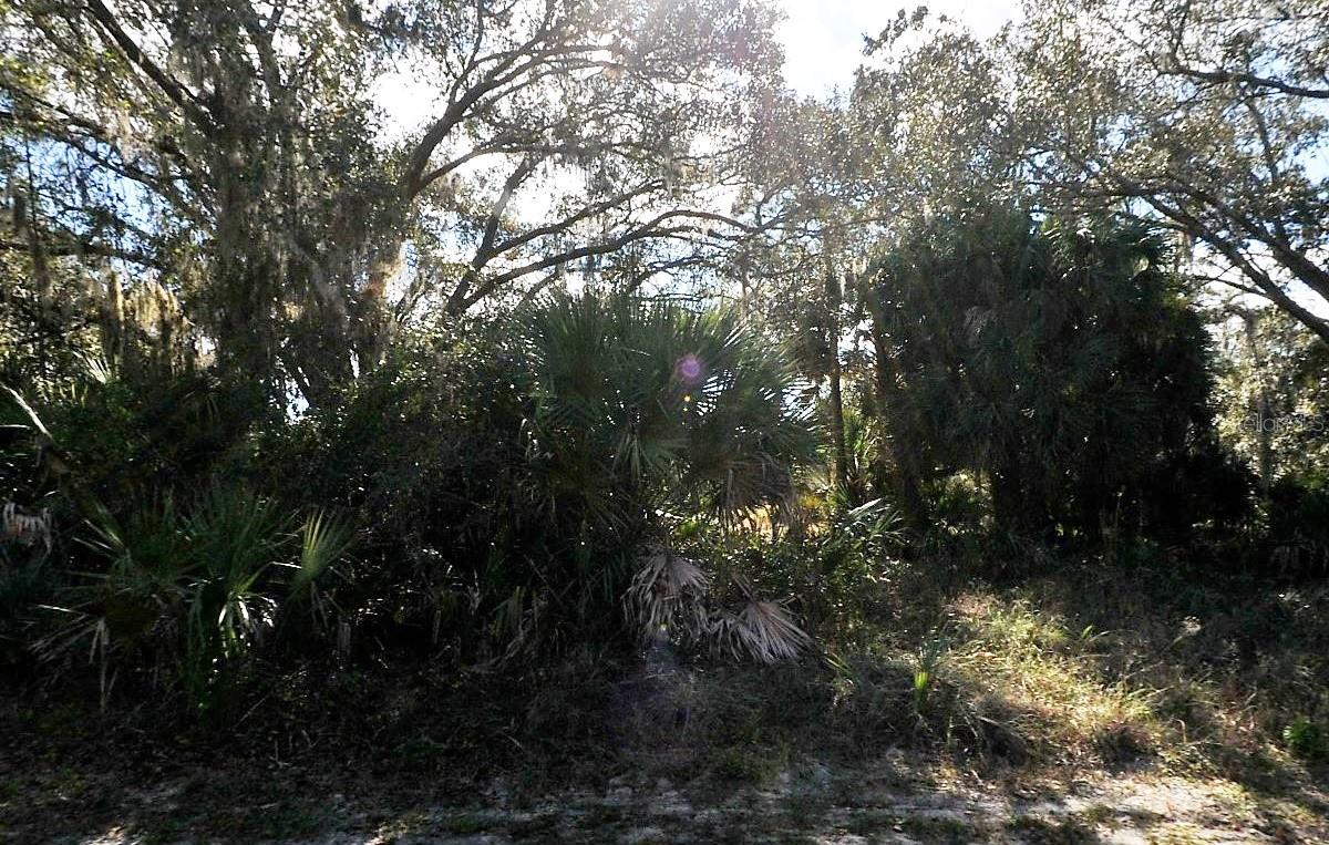 Adolph Lots 10 & 11 Ave, North Port, FL 34288