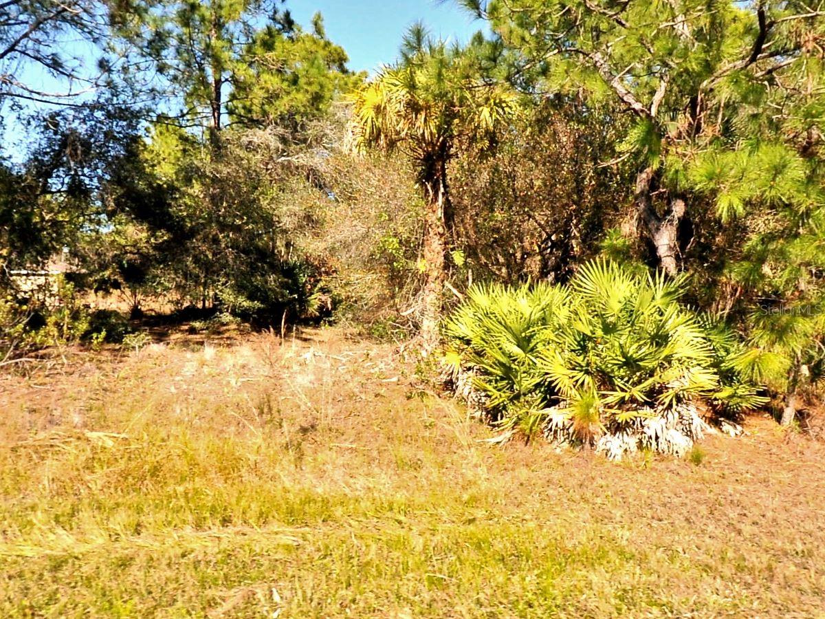 Tasco Lot #10 Dr, North Port, FL 34291