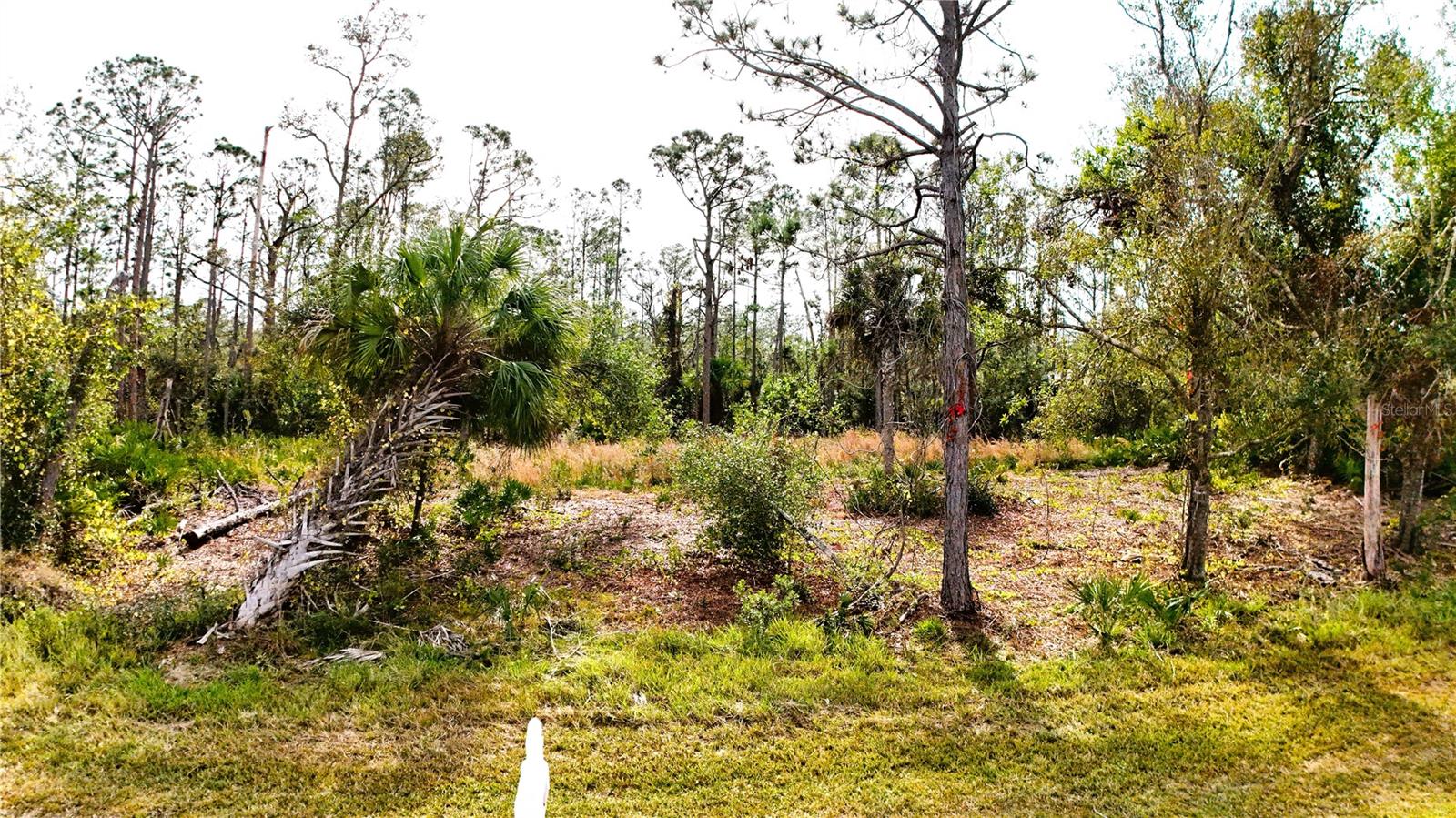 1284 Rambler Ter, Port Charlotte, FL 33953
