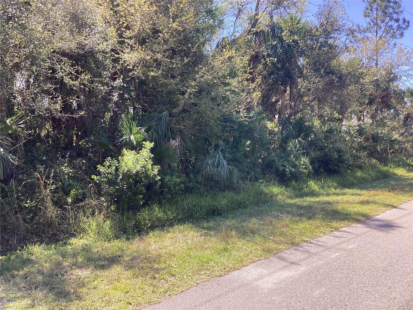 Belleville Ter, North Port, FL 34286