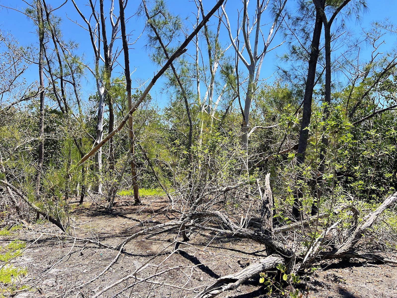 Manasota Key Island Property, Englewood, FL 34223