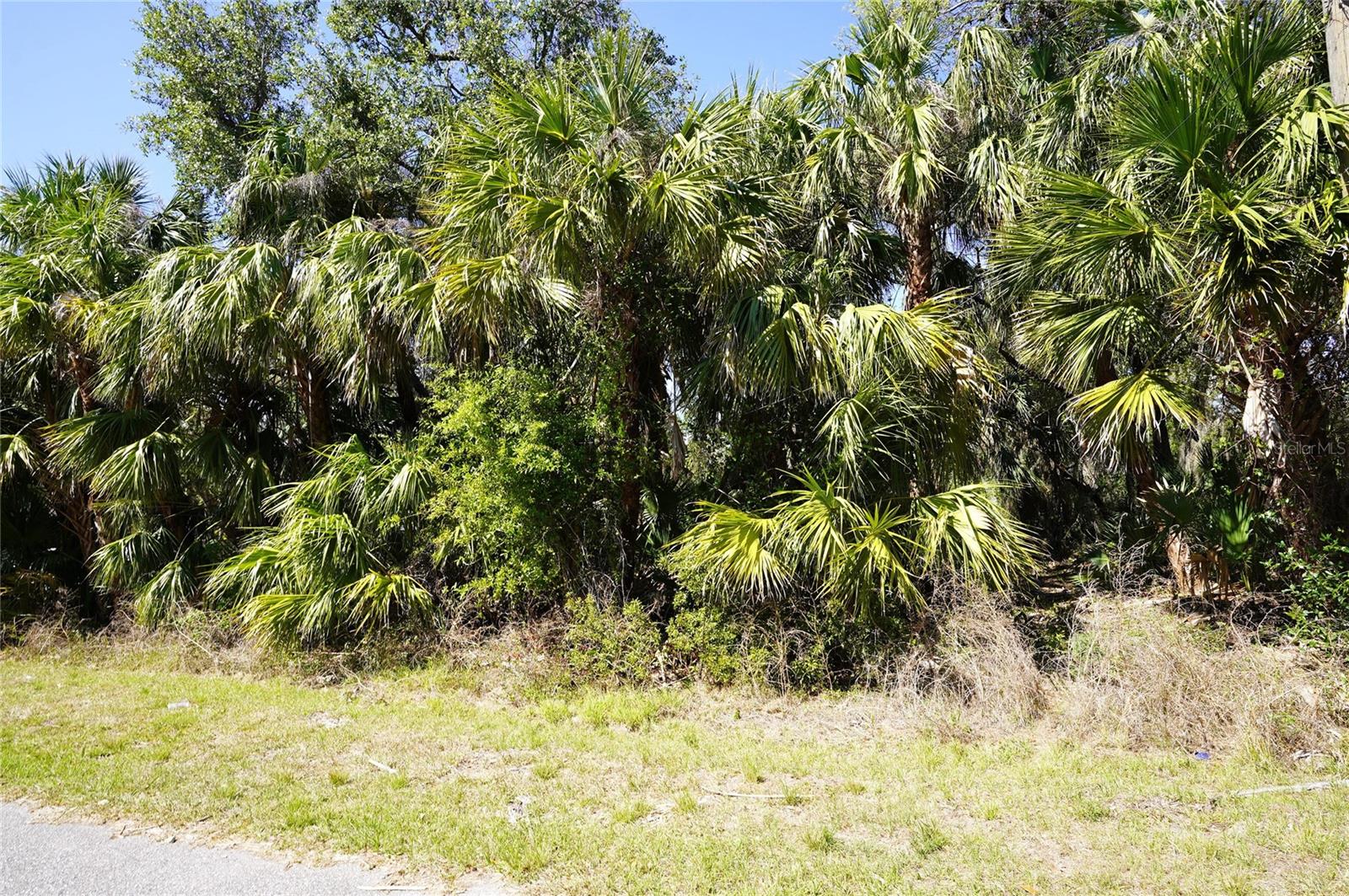 Walmsley Ave, North Port, FL 34287