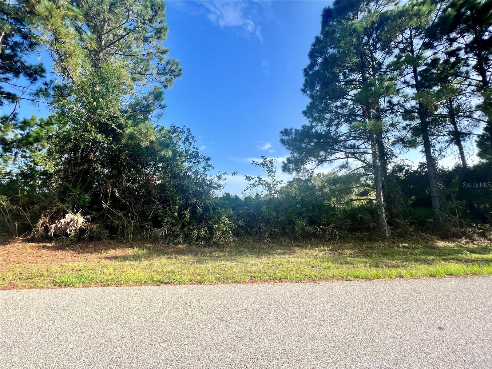 12415 Deepwoods Ave, Port Charlotte, FL 33981