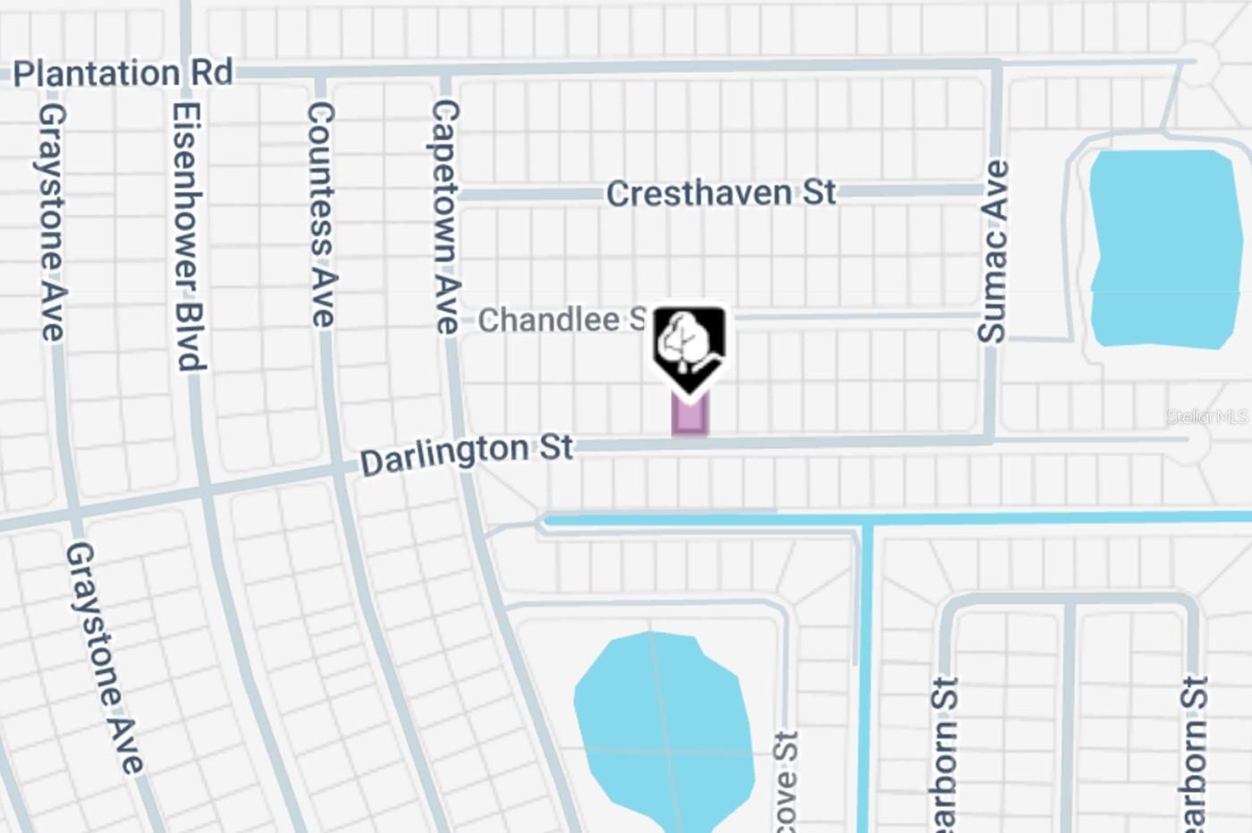 1035 Darlington St, Lehigh Acres, FL 33974