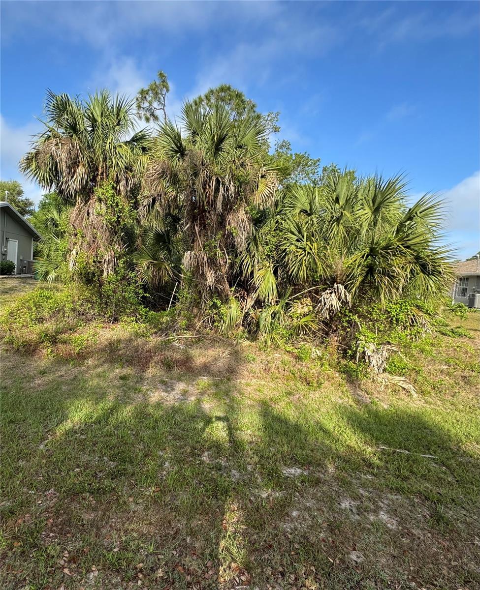 327 Arbor St, Port Charlotte, FL 33953