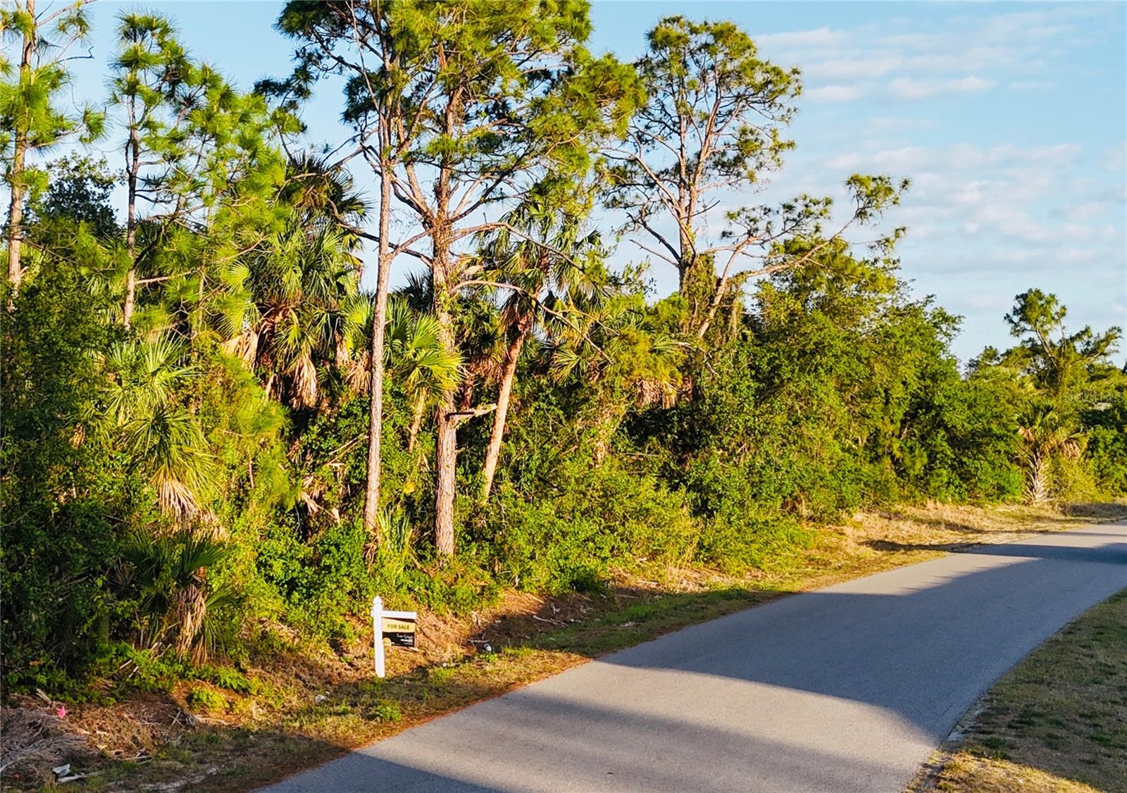Lot 11 Sadnet Ln, North Port, FL 34286