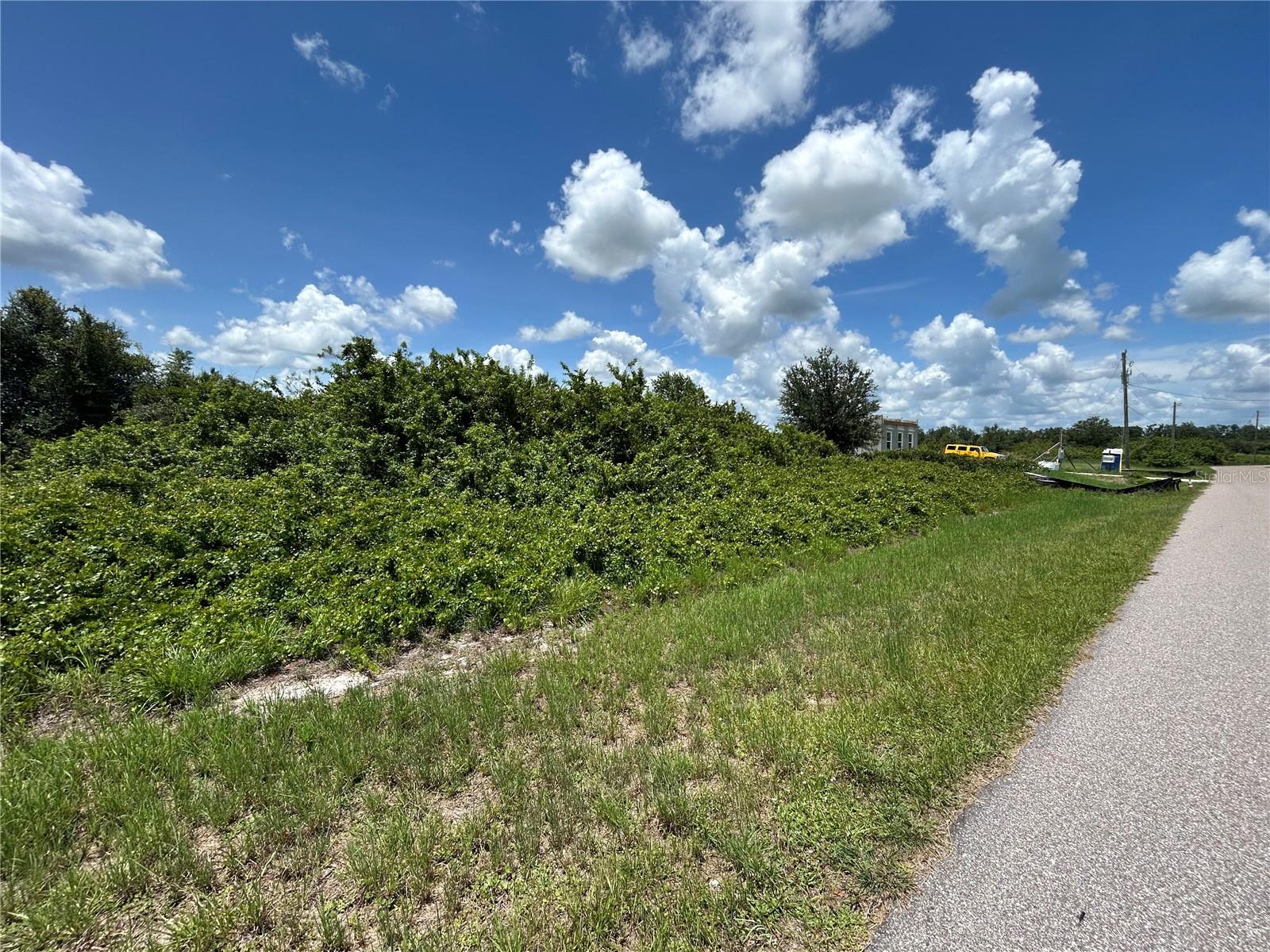 29100 Alfaretta Ave, Punta Gorda, FL 33982