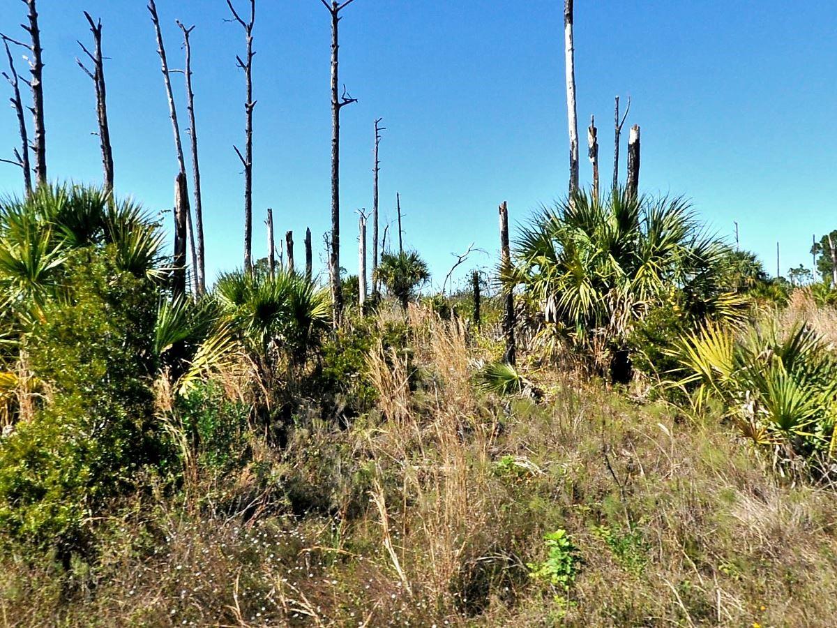 Ewen Lot #17 Cir, North Port, FL 34288