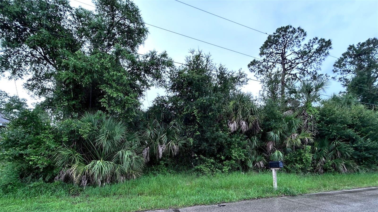 Monday Ter, North Port, FL 34286