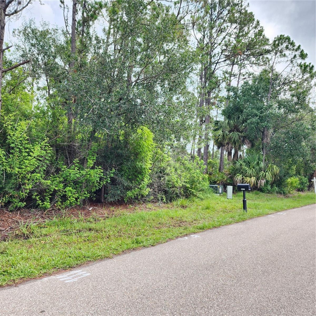 23016 Delhi Ave, Port Charlotte, FL 33952