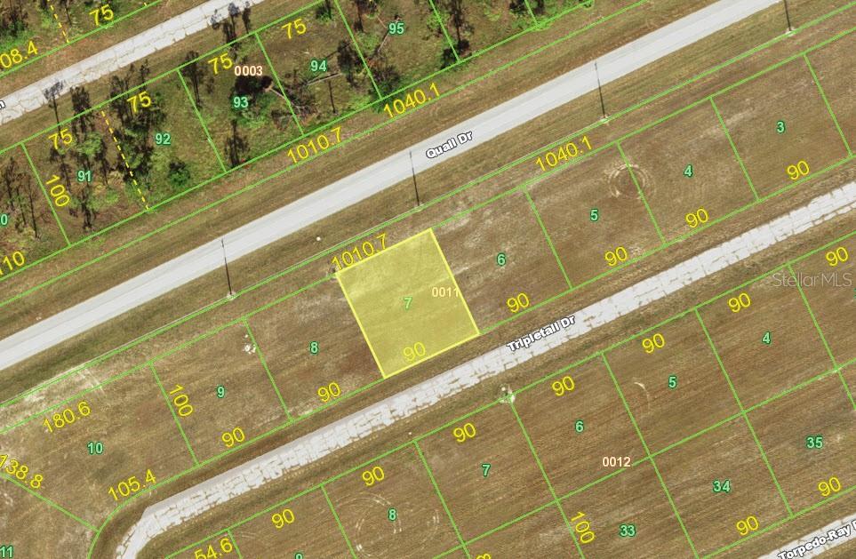 12263 Tripletail Dr, Placida, FL 33946