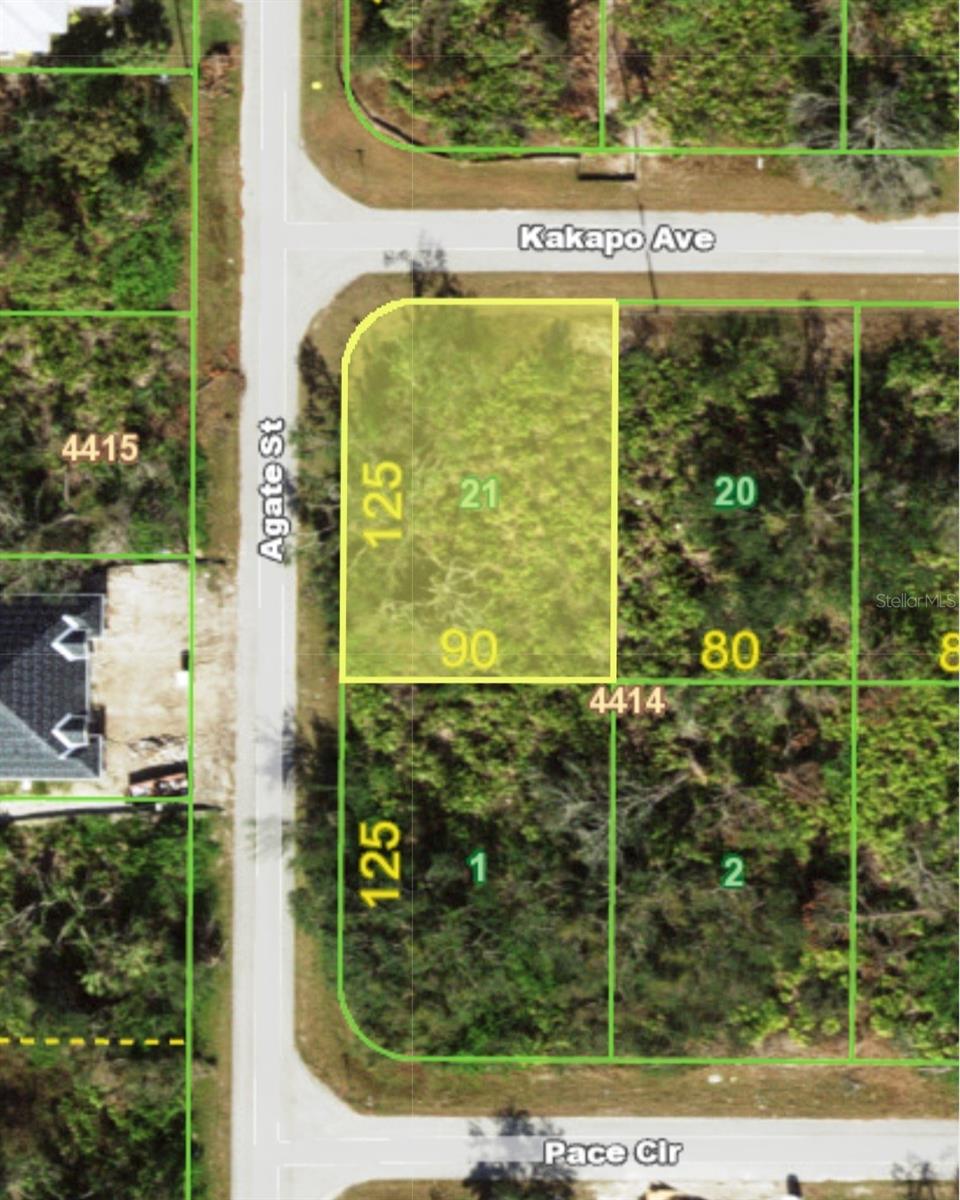 13147 Kakapo Ave, Port Charlotte, FL 33981