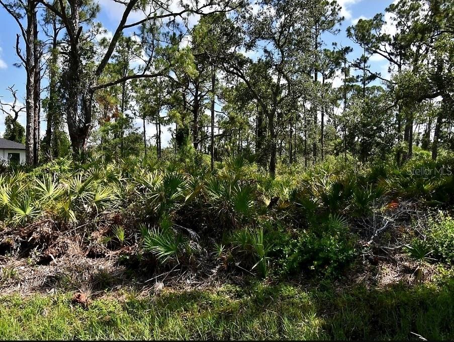 Vespucius St, North Port, FL 34287