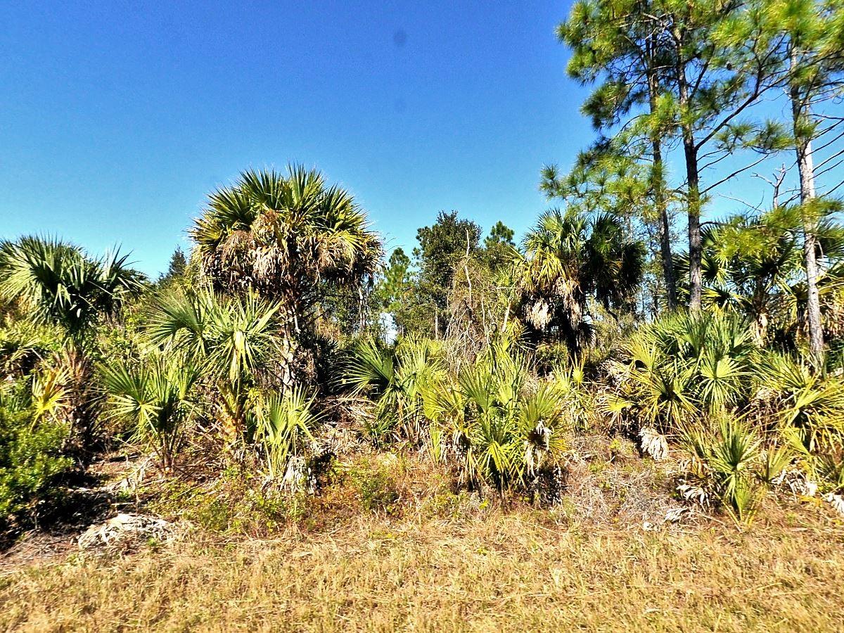 Fiveleaf Rd, North Port, FL 34288