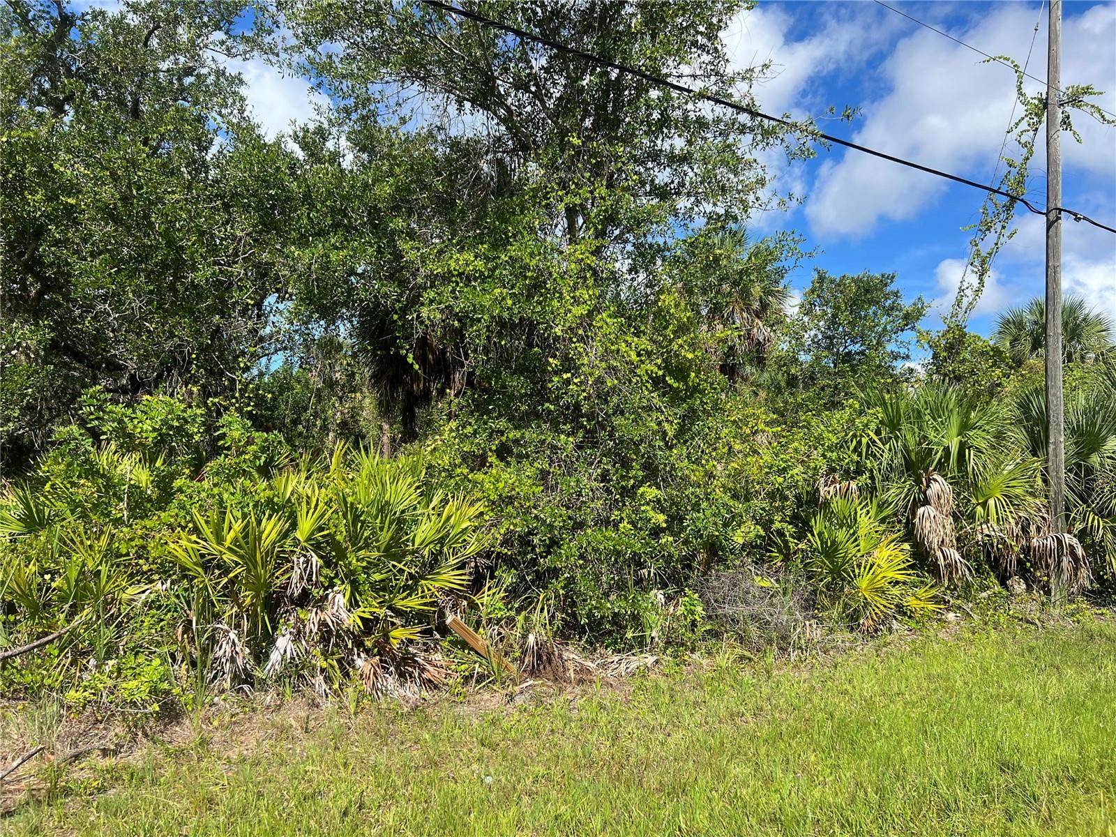 163 Hardee Way, Rotonda West, FL 33947