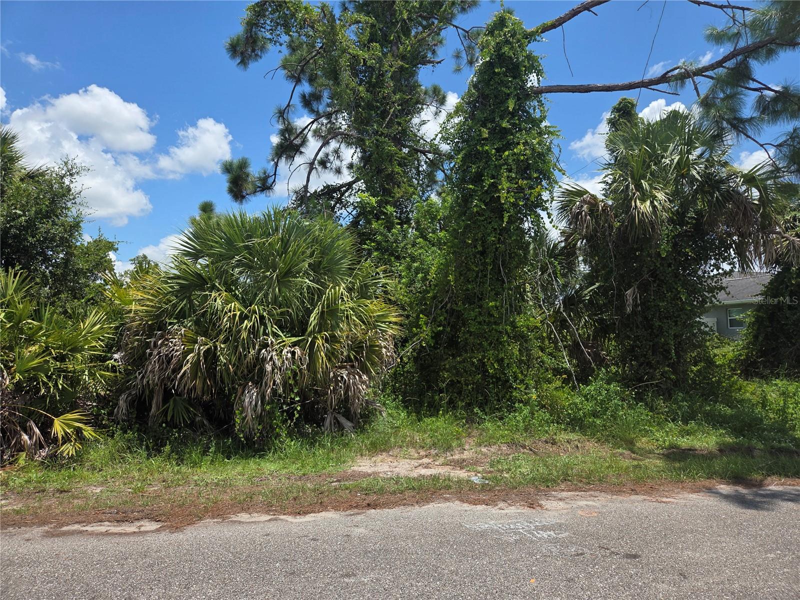 Selover Rd, North Port, FL 34287