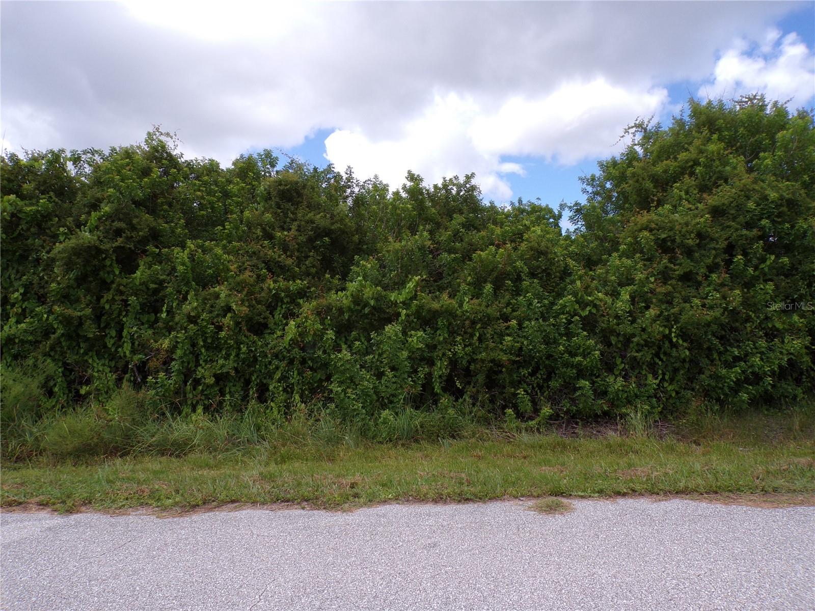 12508 Rathwell Ave, Port Charlotte, FL 33981