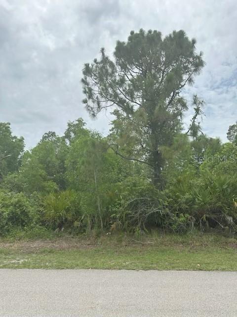 12143 Pontoon Blvd, Punta Gorda, FL 33955