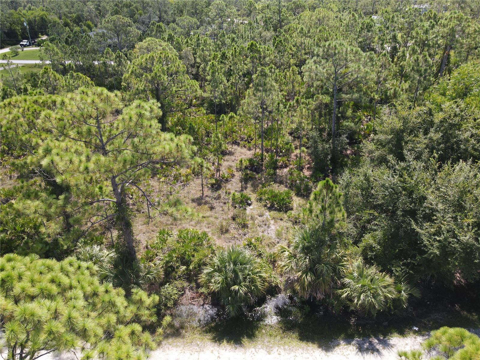 12260 Escuela Dr, Punta Gorda, FL 33955