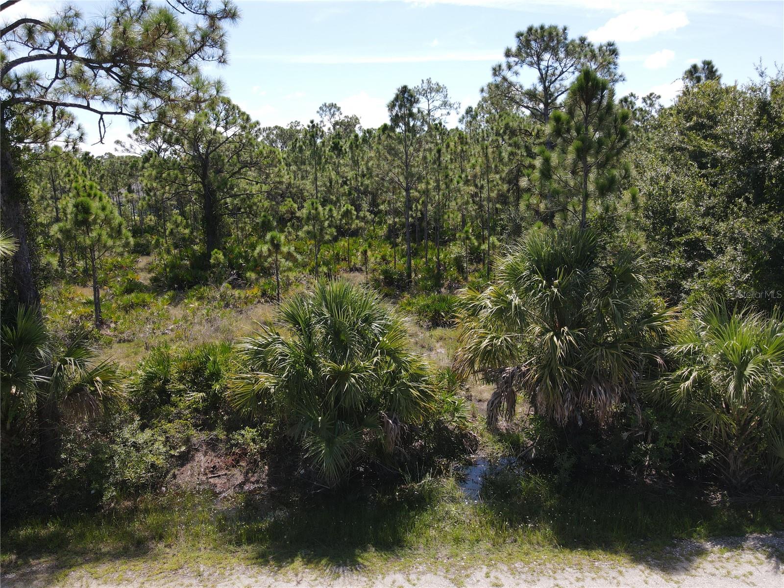 12300 Escuela Dr, Punta Gorda, FL 33955