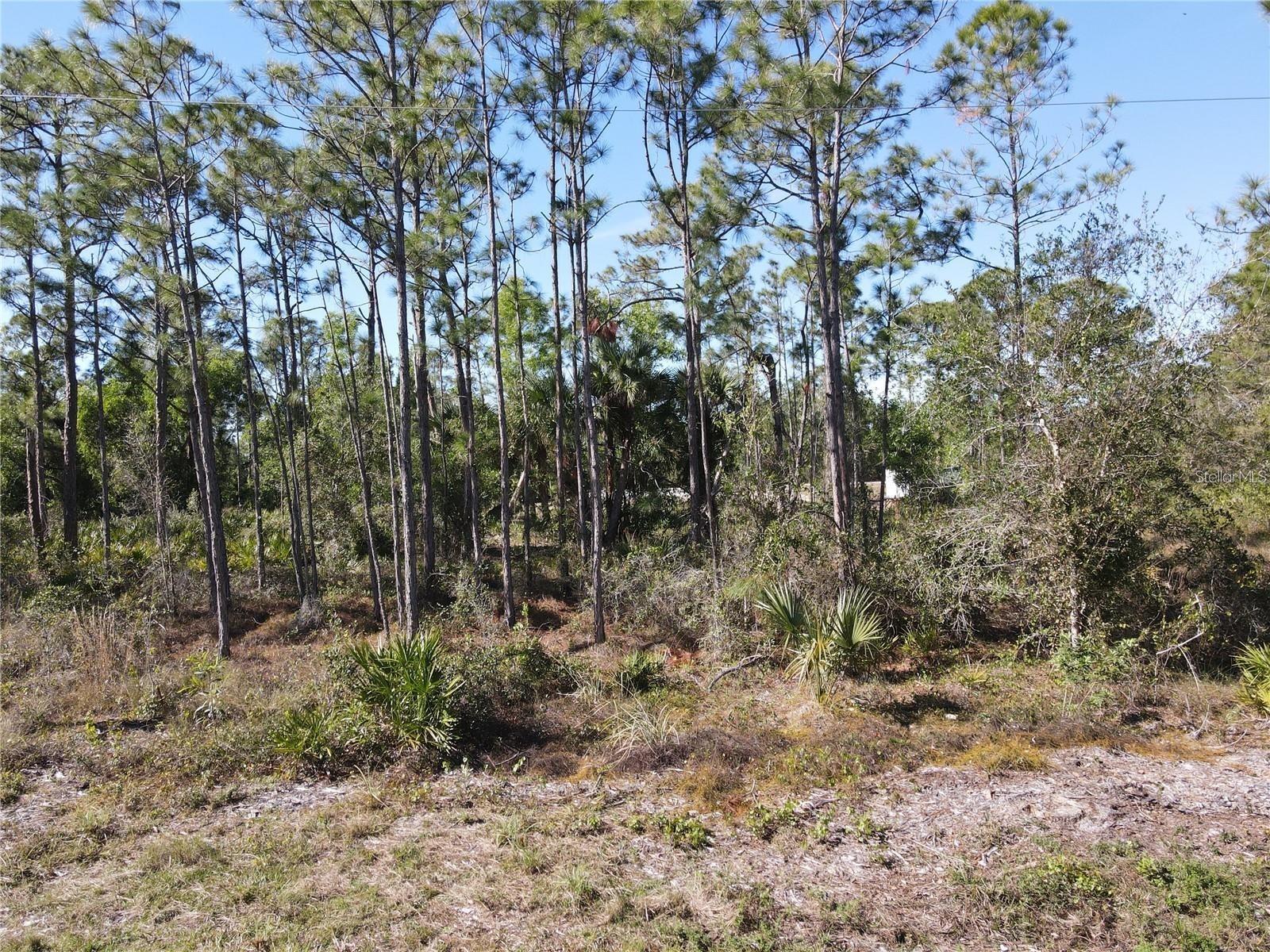 12295 Graffiti Dr, Punta Gorda, FL 33955