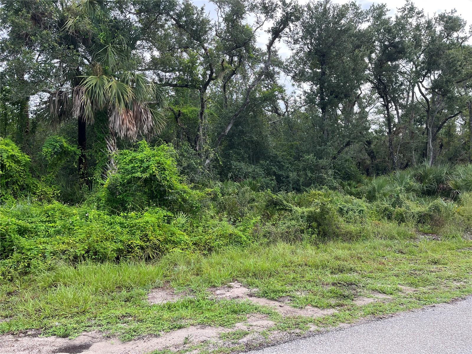 17084 Johns Ave, Port Charlotte, FL 33948