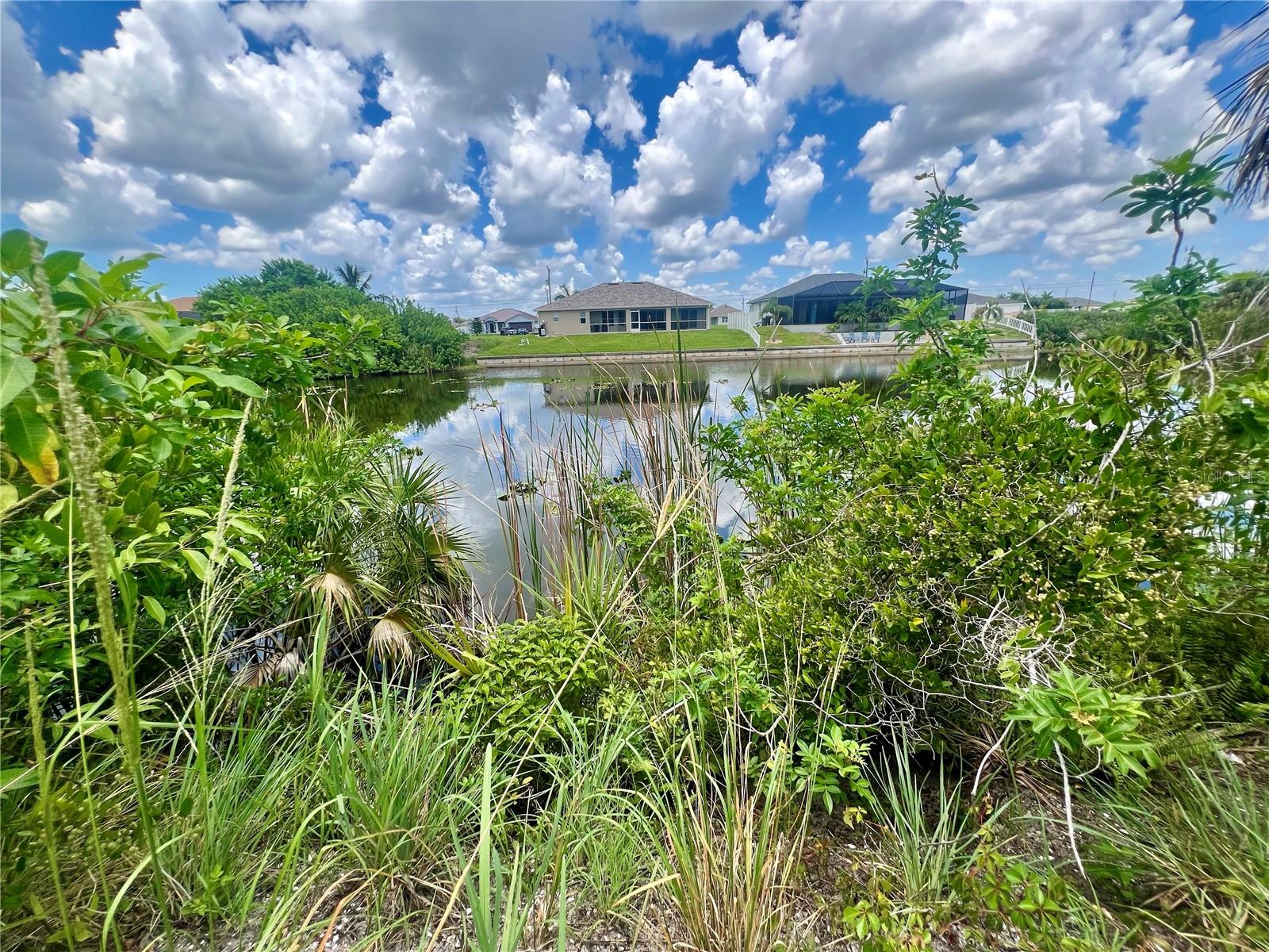 1423 Nw 8th Ter, Cape Coral, FL 33993