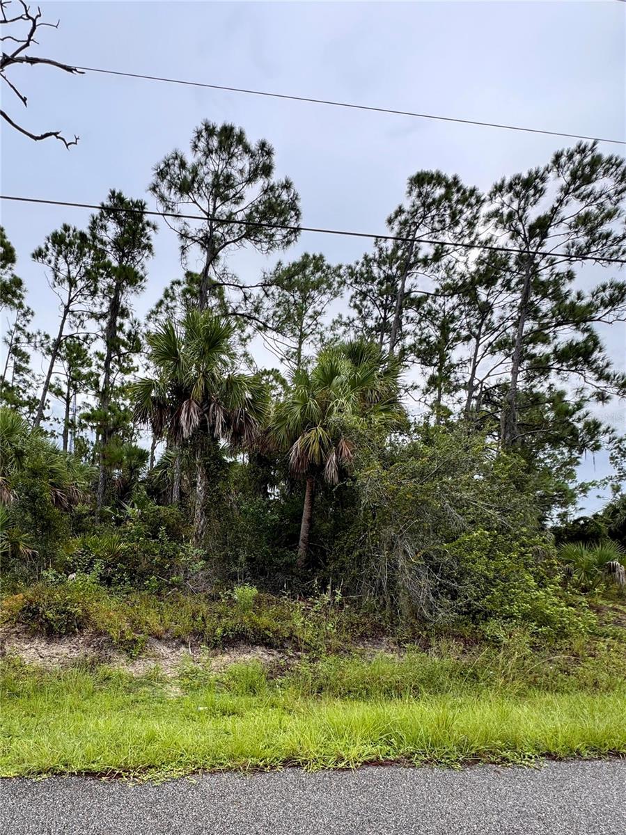 Sadnet Ln, North Port, FL 34286